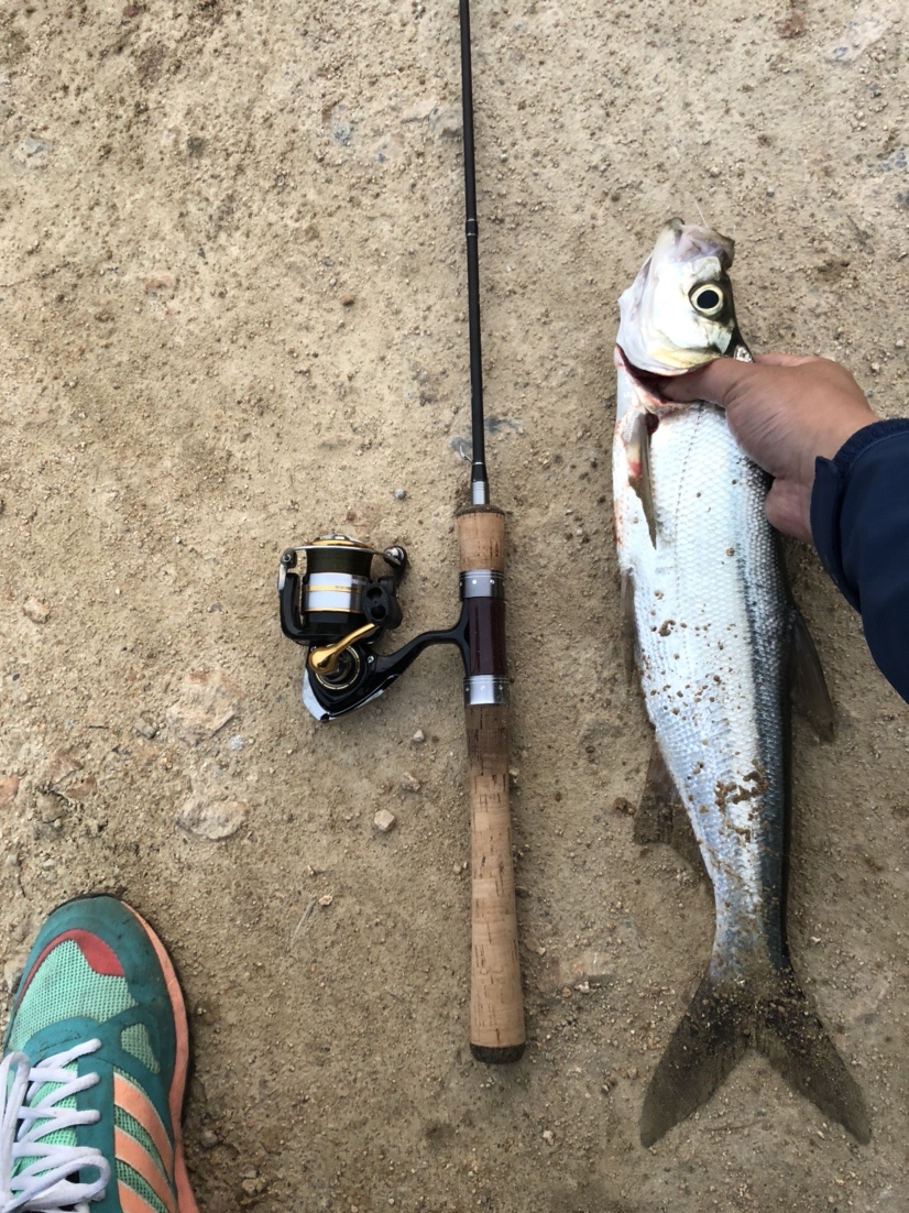 2021打龟爆护同在，未来渔你同行