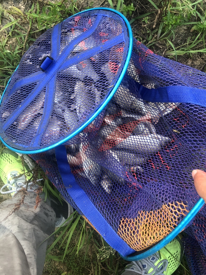 2021打龟爆护同在，未来渔你同行