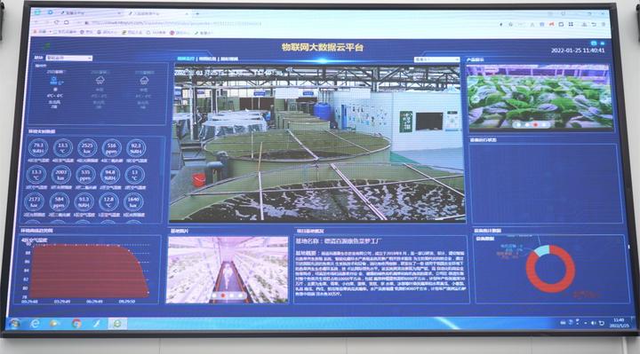 德清：“农业梦工厂”鱼菜卖断货