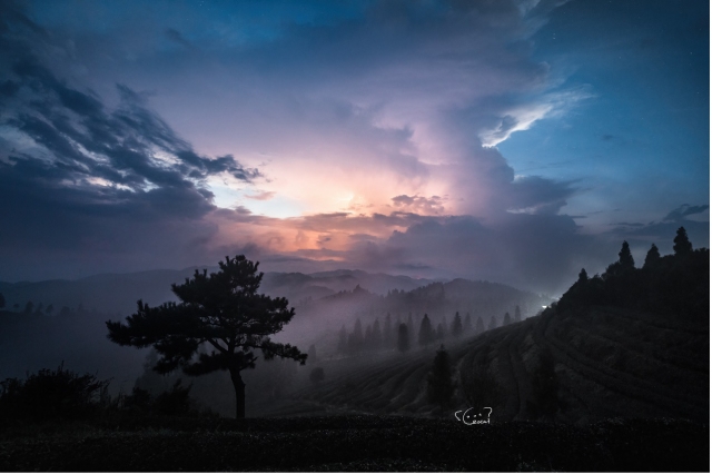 超越界限——索尼Alpha1使用体验