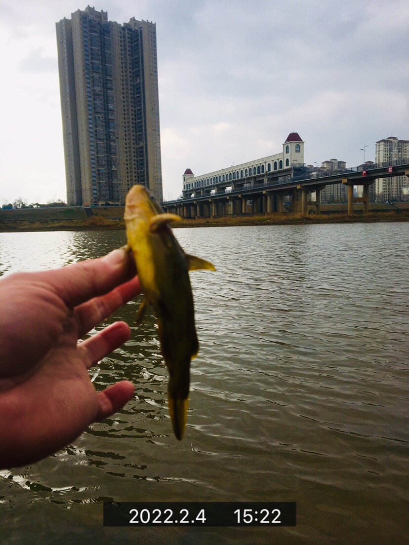 用老婆的菜篮子装新年的第一“金”