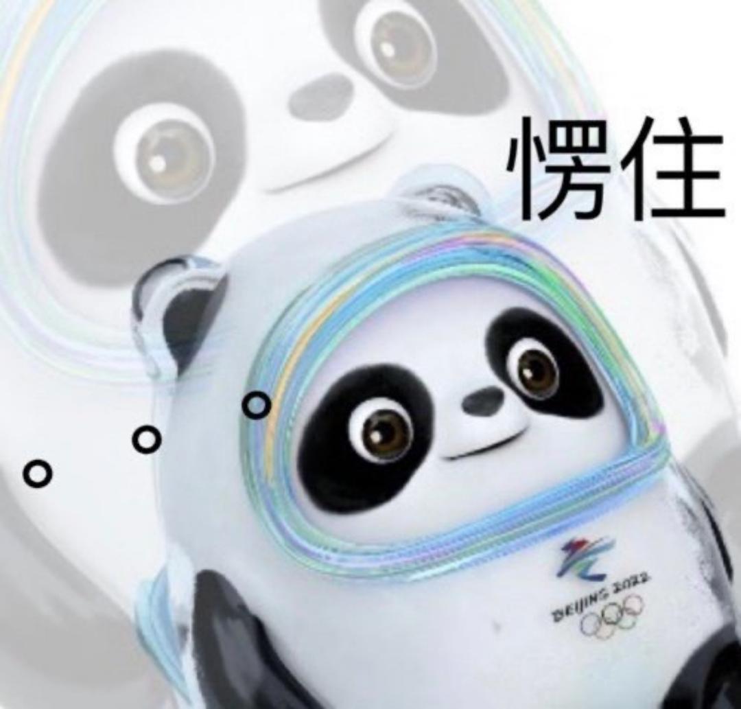 顶流冰墩墩,顶流冰墩墩上天