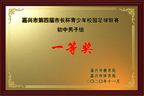 赓续风尚踔厉奋发——嘉兴一中实验学校荣膺“全国校园足球特色学校”