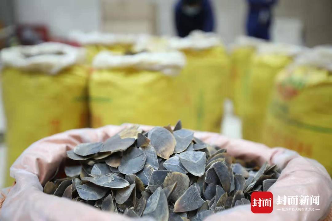 重庆海关反腐新闻,海关执法违法案例分析