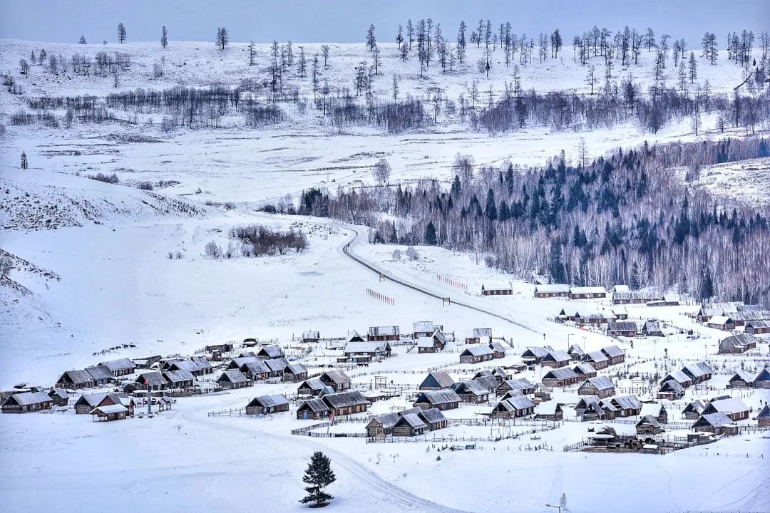 滴！跟着CCTV的镜头打卡*疆新**之春