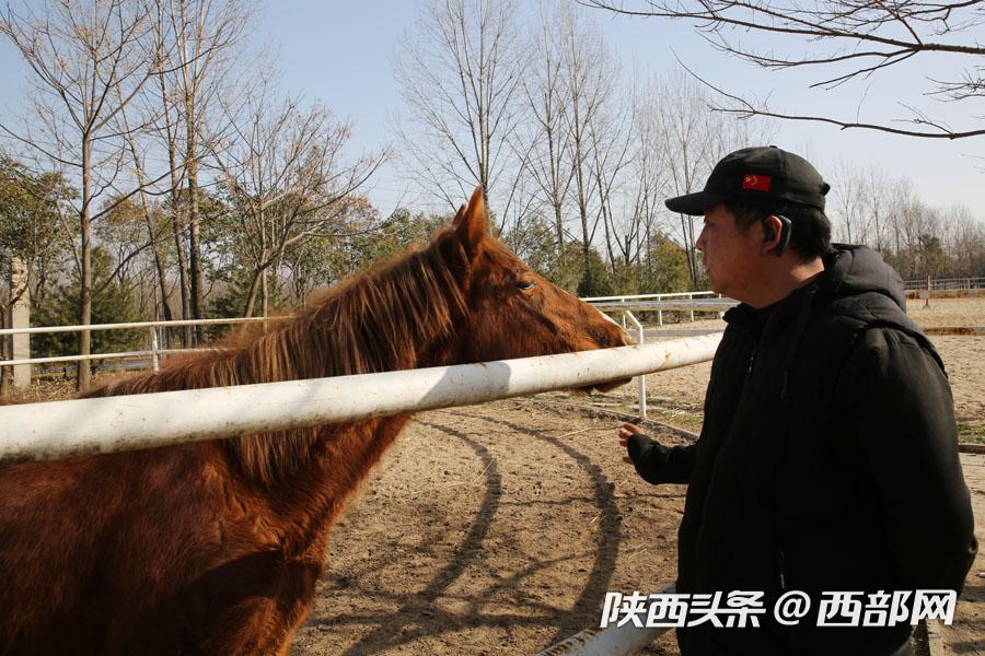 马术教练教学生视频,马术教练教你认识各种马