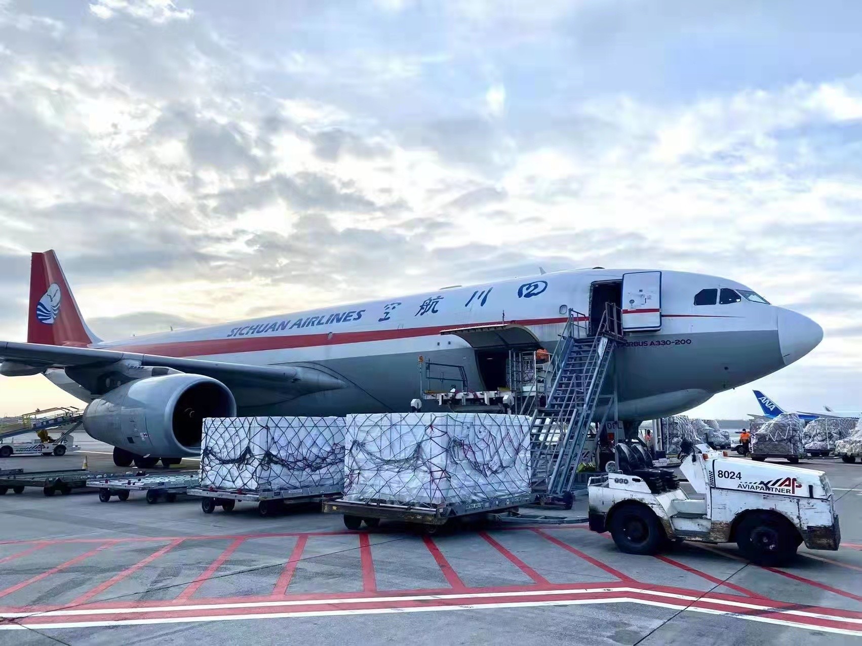 川航2019新开航线,川航开通的国际航线