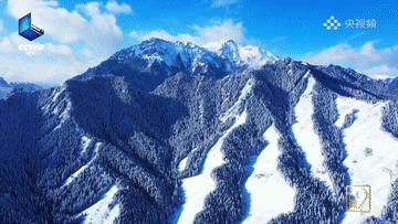 滴！跟着CCTV的镜头打卡*疆新**之春