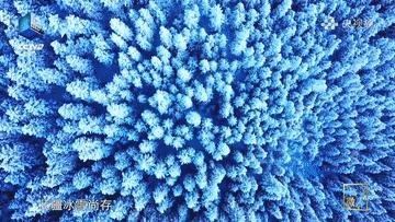 滴！跟着CCTV的镜头打卡*疆新**之春