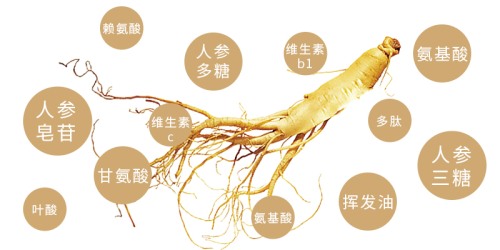 百草益寿传承中医精髓,百草益寿只卖精品好中药