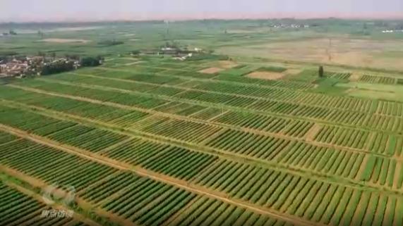 科技小院对乡村振兴的意义,科技小院助力乡村振兴