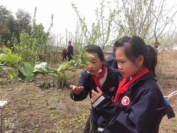 三联小学校春游,三年级共赴一场春天的约会任务单