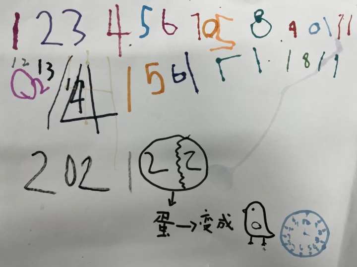 当班级里来了两只鸡……这群孩子不仅孵了蛋，赚了钱，还进行了生命教育