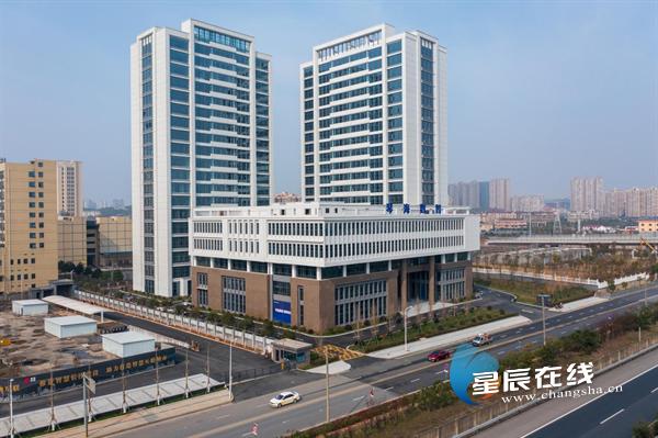 春色满园②|琴海数智：智创未来在档案储存数字化的风口振翅高飞