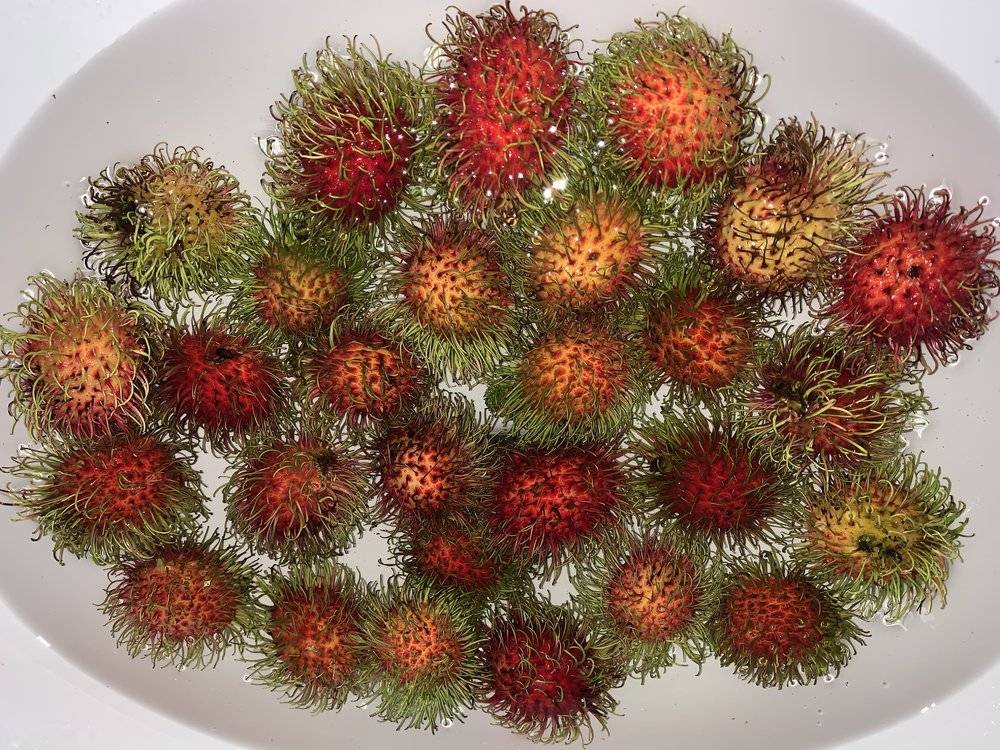 泰国奇幻之旅,三个女孩游泰国