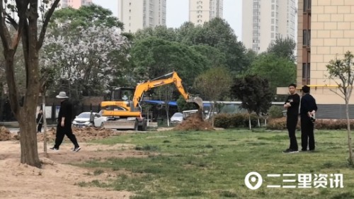 「小里帮忙」草坪改建停车位、工地受伤赔偿难……这些事情有回复