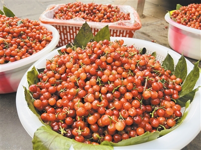 西瓜和桑葚,杨梅桑葚西瓜价格