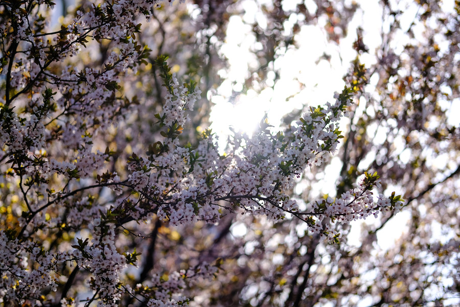 瀵屽＋x鍗″彛150-600,瀵屽＋x鍗″彛23mm鎺ㄨ崘