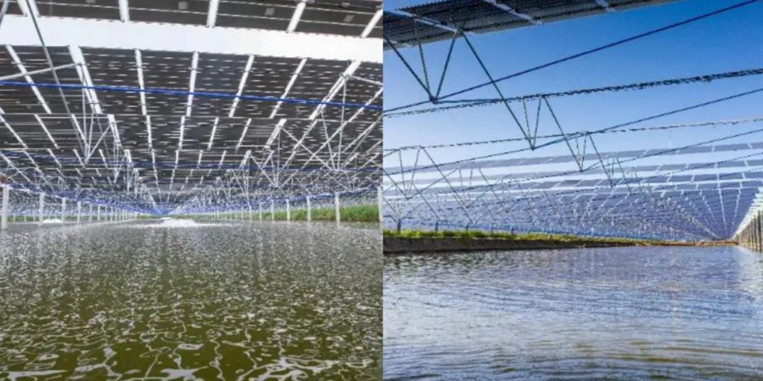 庭院分布式光伏新支架,光伏柔性支架安装视频