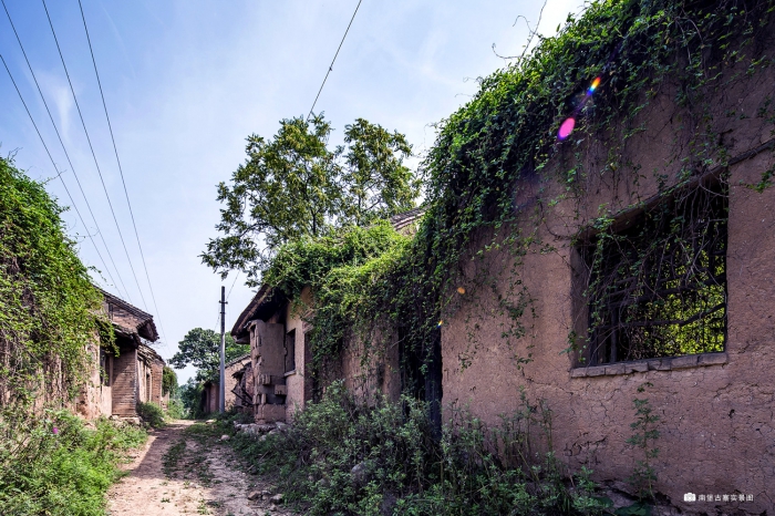 从书香门第投身残垣村落，她在长安乡村打造了一座“活着的博物馆”