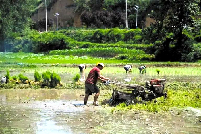 从书香门第投身残垣村落，她在长安乡村打造了一座“活着的博物馆”