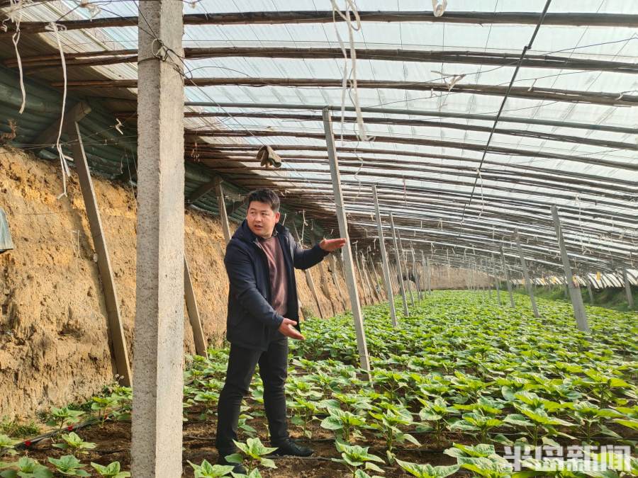 致敬退役军人创业,致敬农民奋斗者