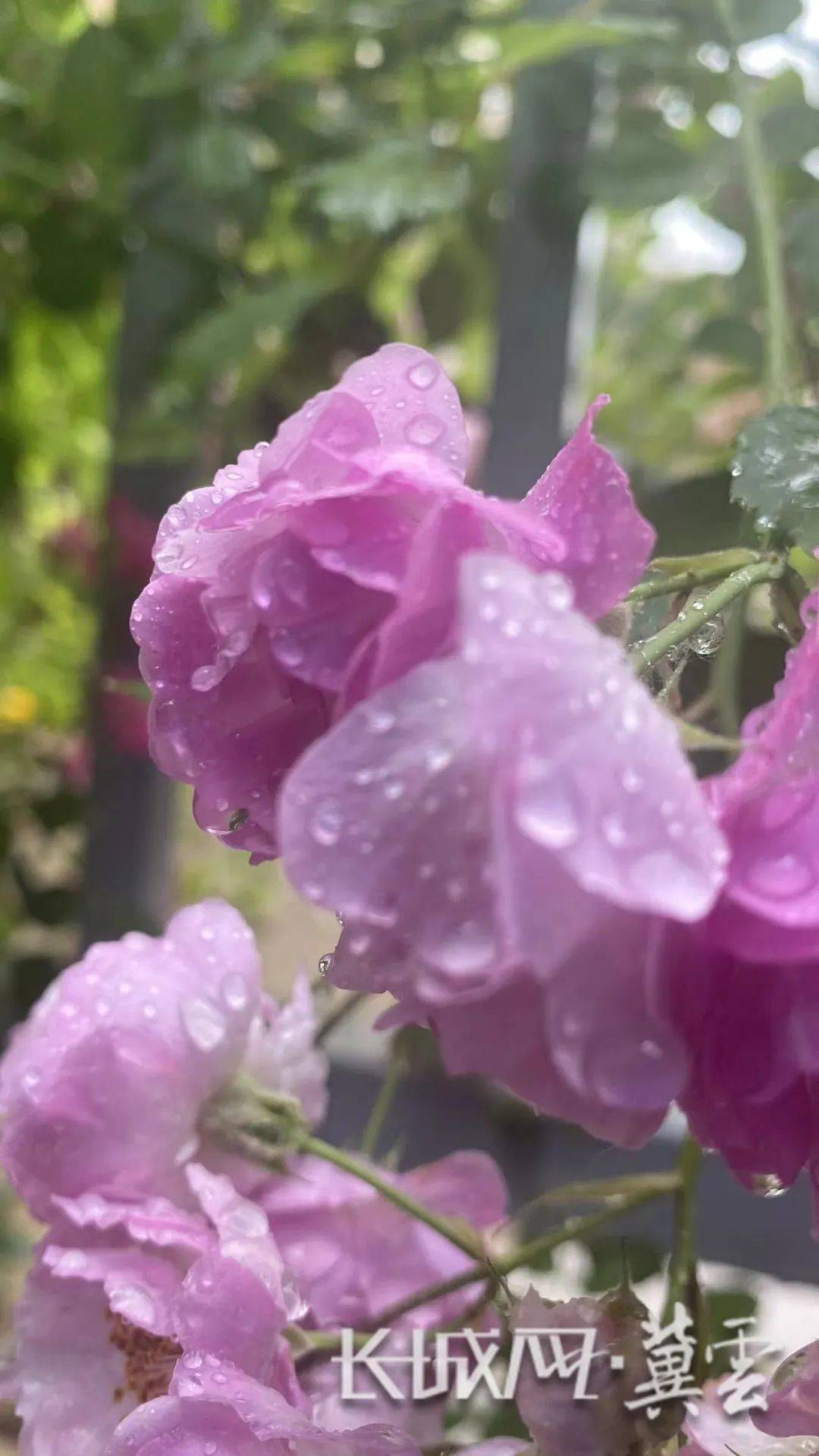 河北人，快来拍下身边的风险吧！现金红包等你拿