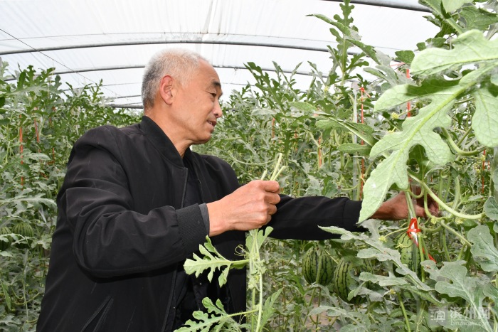 党建引领村集体经济增收实施方案,惠民县麻店镇发展规划