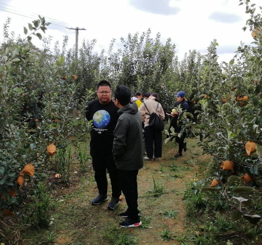 青年学生创新创业故事,青年创新创业故事