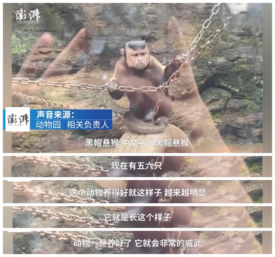 国字脸短发,国字脸女生适合的短发