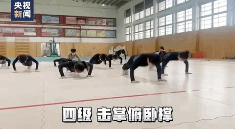 小学生表演花式俯卧撑,本草纲目小朋友健身操完整版