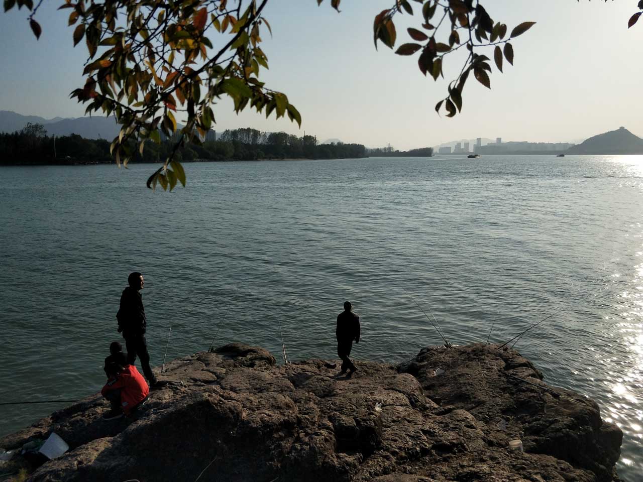 诗酒年华朗读完整版,诗酒年华小说作品