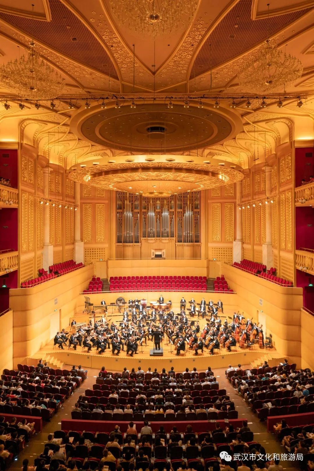 武汉十大必玩处,武汉十大儿童必玩地方