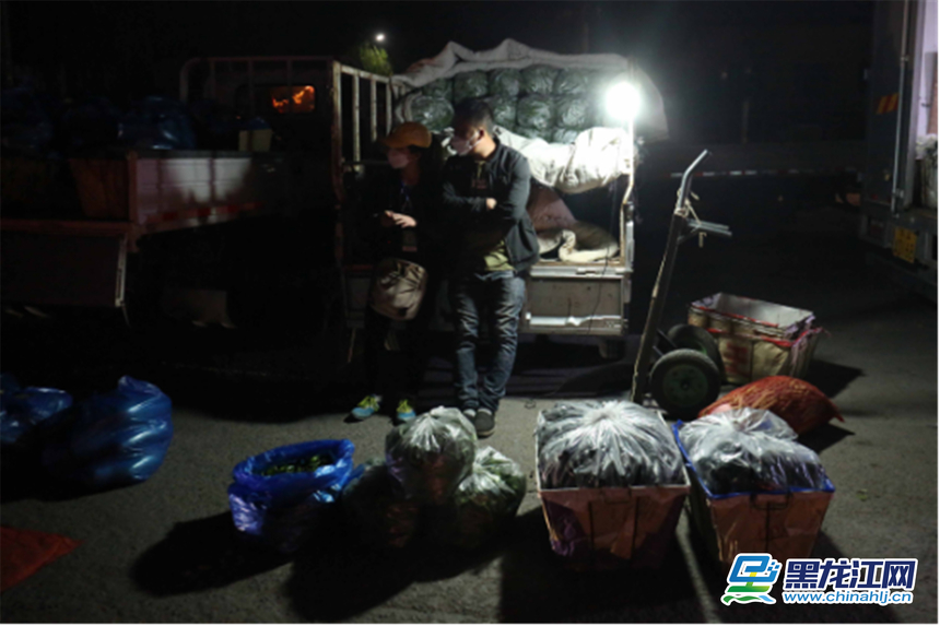 精品蔬菜批发市场图片,哈尔滨薛家蔬菜批发市场