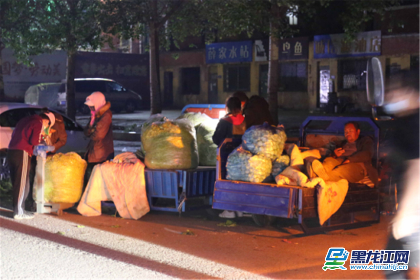 精品蔬菜批发市场图片,哈尔滨薛家蔬菜批发市场