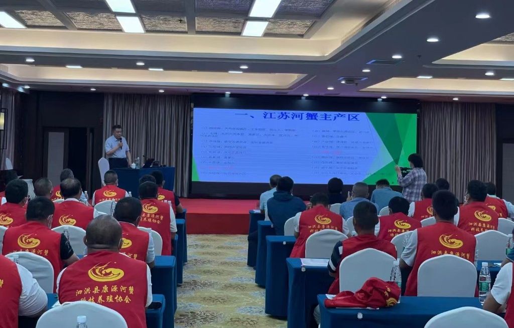 “迁宿迁创未来”⑤｜“五联五强”行动汇聚高质量发展动力源