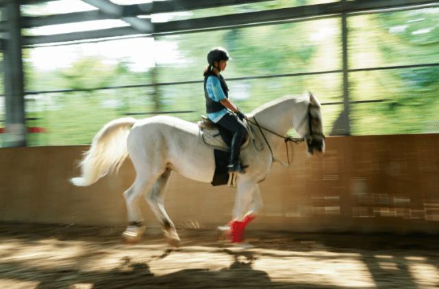 国家体育总局最新通知提及即开型体育彩票，速度赛马或迎来春天？