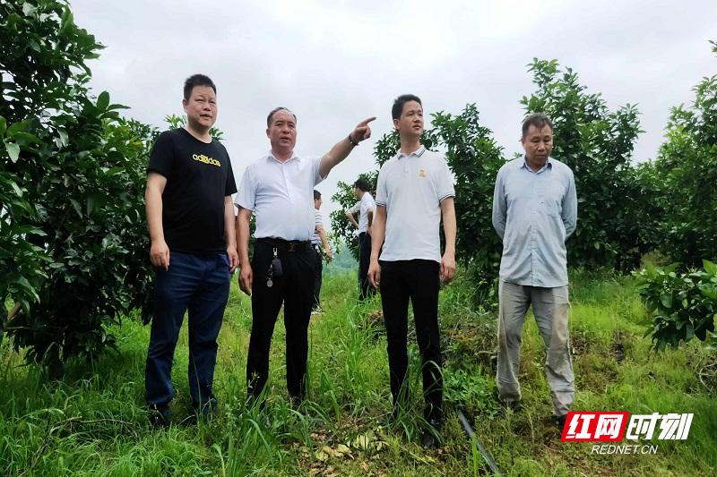 满堂红农村视频,嘉禾县满堂村