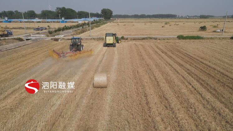 澶氭帾骞朵妇绉哥鎵撳寘,娉楅槼绉哥