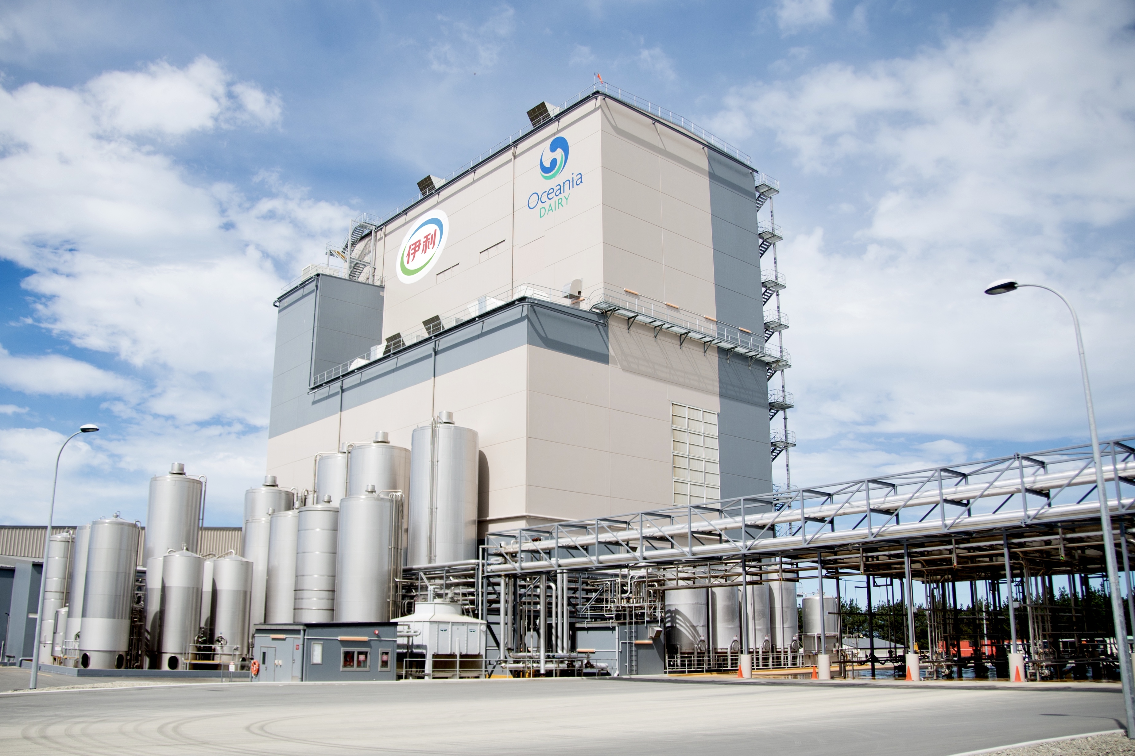 茶马古道路上,茶马古道茶叶香