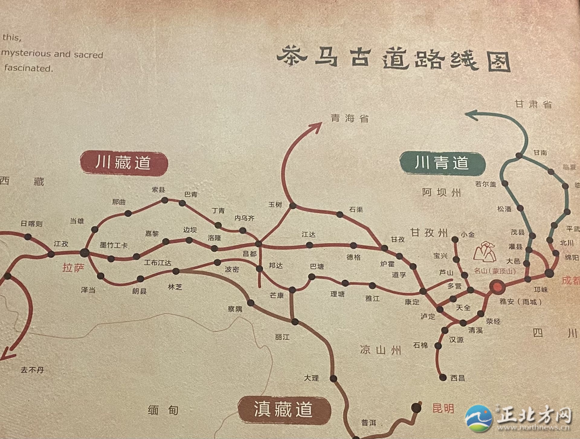 茶马古道路上,茶马古道茶叶香