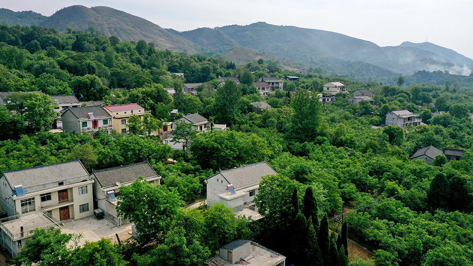 商州纪事,商州计量局电话