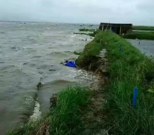 鍗庡崡鏆撮洦鎴愮伨,鍗庡崡鎸佺画鏆撮洦