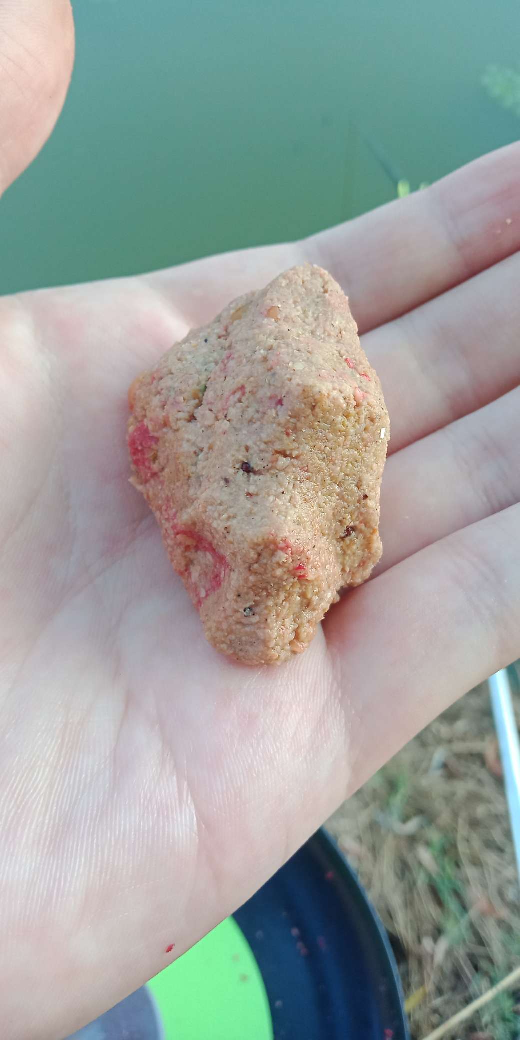 浑身亮甲如新衣，一生靓仔它美气