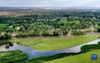 陕西靖边：芦河湿地水清景美「图」