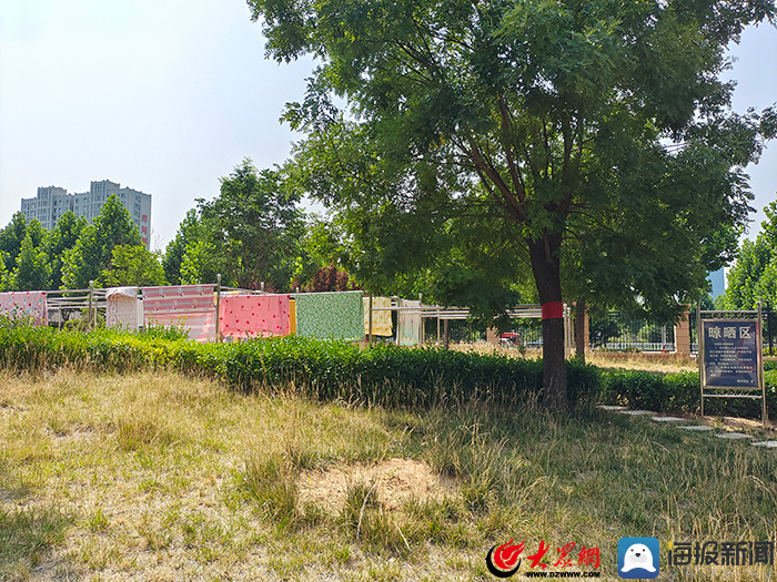 岱岳区堰北社区：解决居民“小问题”化解管理“*麻大**烦”