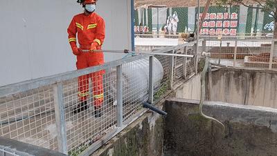 虎斑游蛇鸡冠蛇毒性大吗,十堰最近发现的鸡冠蛇