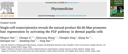 生命·发现｜我院孙洋研究团队揭示诗碧曼精华液通过激活真皮乳头细胞FGF通路促进毛发再生