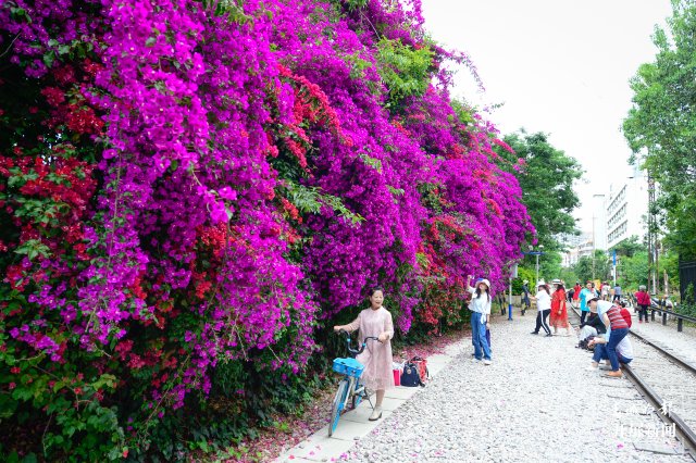 有一种云南的生活叫昆明,云南的昆明就是这么美