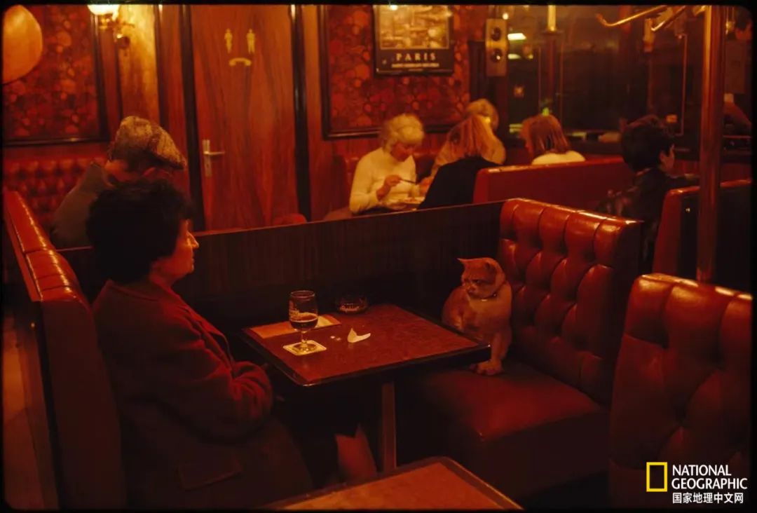 最伟大的作品6张照片,30秒最伟大的作品